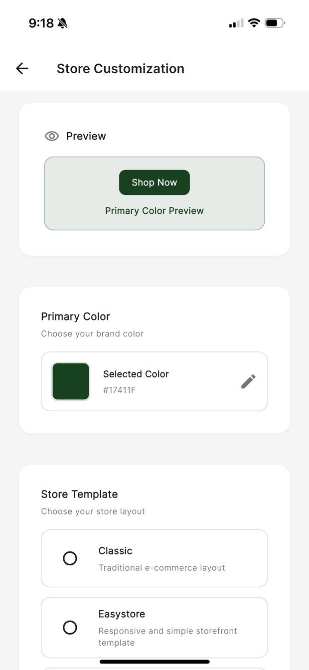 KarryBiz store customization screen