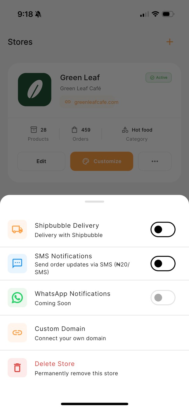 KarryBiz store settings with delivery, SMS and custom domain